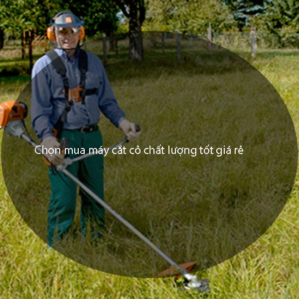 Chọn mua máy cắt cỏ chất lượng tốt giá rẻ