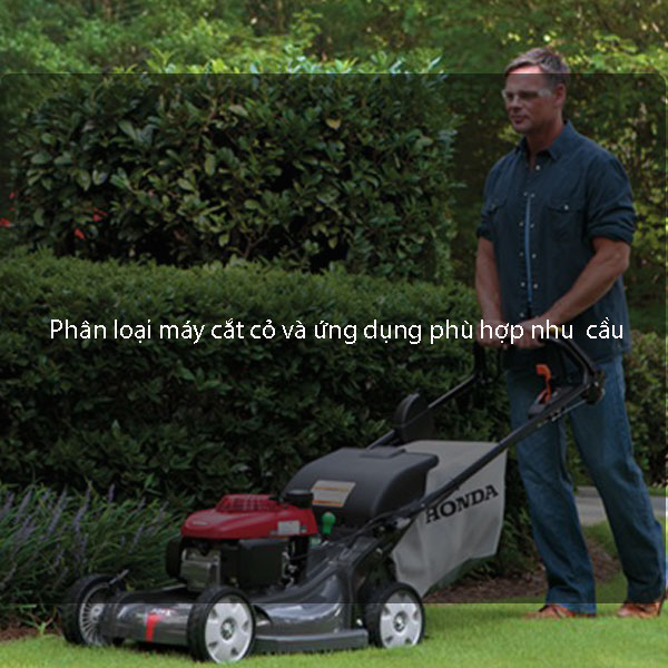 Phân loại máy cắt cỏ và ứng dụng phù hợp nhu cầu sử dụng